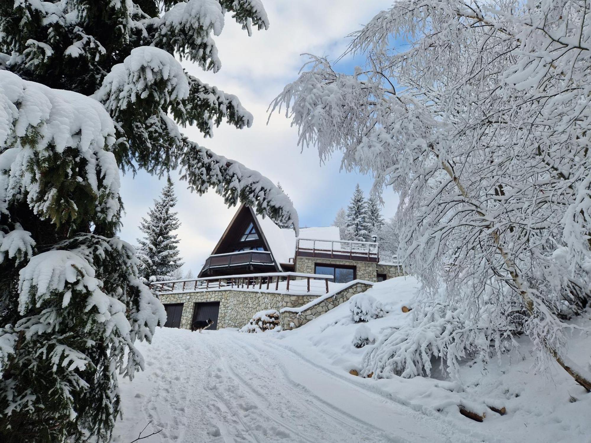 Le Chalet Pointu De Capucine Bourg-Saint-Maurice Exterior photo